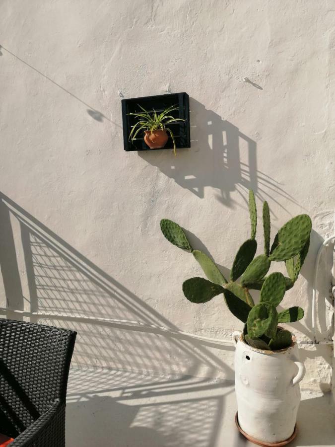 Casa Dei Nonni Villa Capurso Exteriör bild